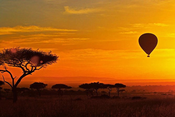 3-day Masai Mara Safari Tour to see the big five and wildebeest migration - What the $700 price really covers