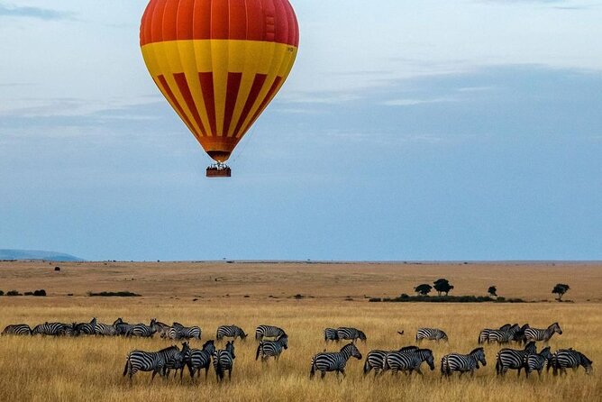 3-Day Masai Mara Safari Tour - Day one: Nairobi, Limuru, Narok, and the Mara