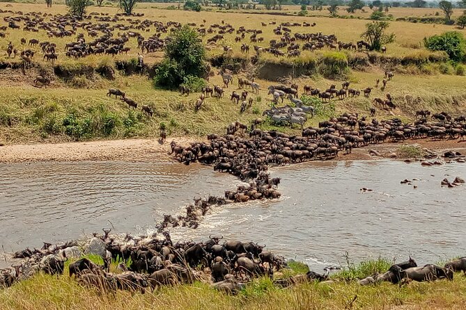 3 Day Private 4x4 Jeep Tour in Masai Mara Safari - Leaving Nairobi for the Masai Mara