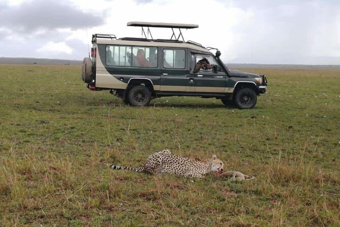3 Day Private 4x4 Jeep Tour in Masai Mara Safari - Day two: a full day across the reserve