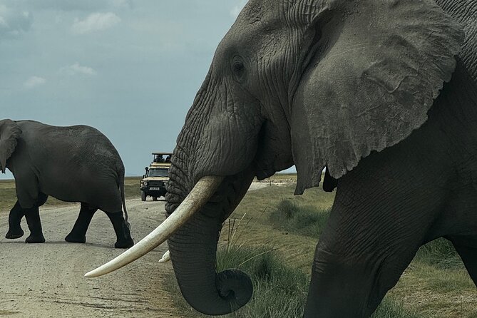 3 Day Private Tour in Maasai Mara with Lodge Luxury with Jeep - Key points to know before booking