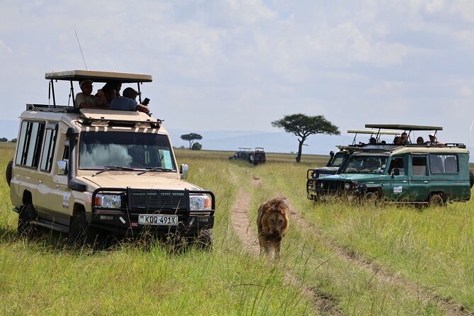 3 Day Private Tour in Maasai Mara with Lodge Luxury with Jeep - Who should choose this safari?