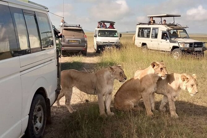 3 Day Private Wild Safari Tour in Maasai Mara - Optional Lake Naivasha and Kericho stops