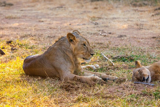 3-Day Samburu safari from Nairobi - The long first day from Nairobi to Nanyuki