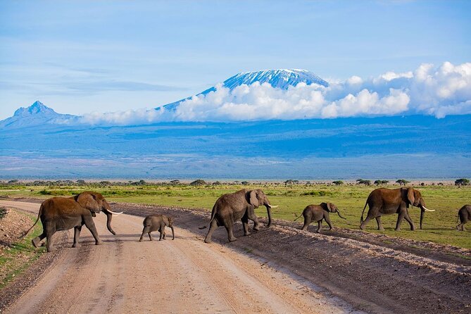 3 Days 2 Nights Amboseli National Park Tour - Why Amboseli works so well for a short safari