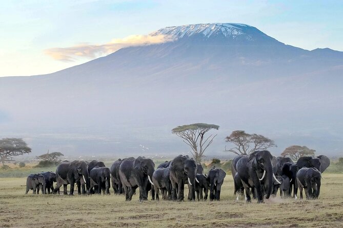 3 Days 2 Nights Amboseli National Park Tour - What the $500 price includes