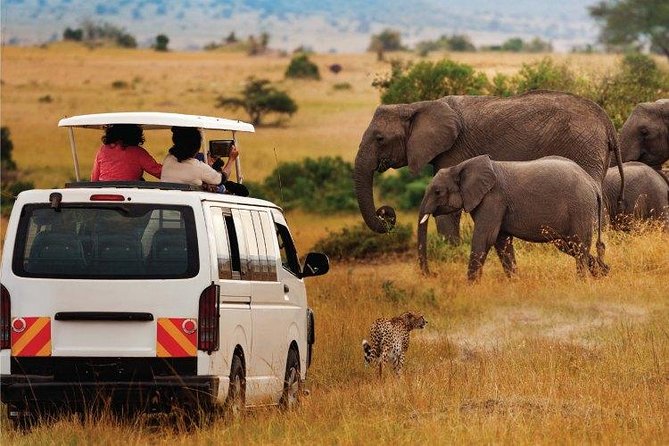 3 Days 2 Nights Amboseli Safari - What the $935 price really covers