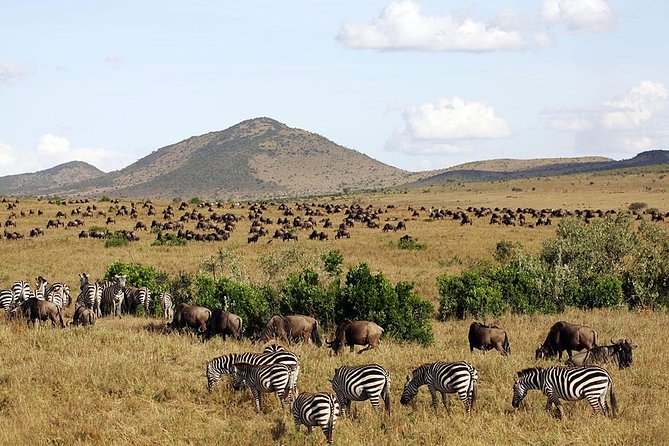 3 days 2 nights budget group safari to Maasai Mara National Reserve - Day 3: Maasai culture and the road back to Nairobi
