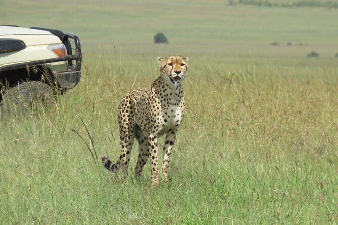 3 Days 2 nights Group joining Midrange Safari Tour in Masai maraa - Why three days works well in Maasai Mara