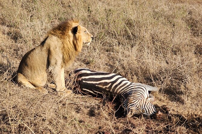 3 Days - 2 Nights Maasai Mara from Nairobi - An early start and the optional balloon flight