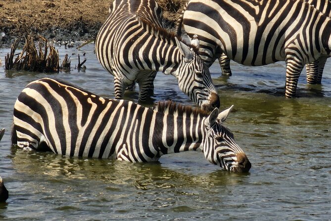 3 Days - 2 Nights Maasai Mara from Nairobi - Booking details worth checking