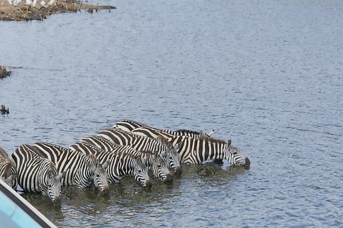 3 Days - 2 Nights Maasai Mara from Nairobi - Should you book the Maasai Mara safari?