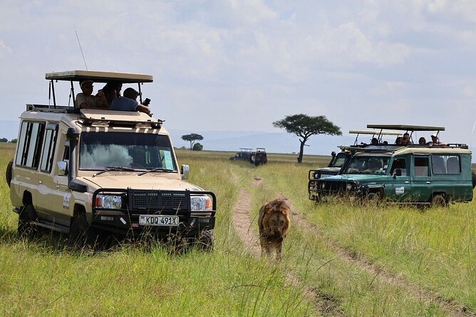 3 Days 2 Nights Maasai Mara Group Safari by 4WD From Nairobi - Returning to Nairobi on day three