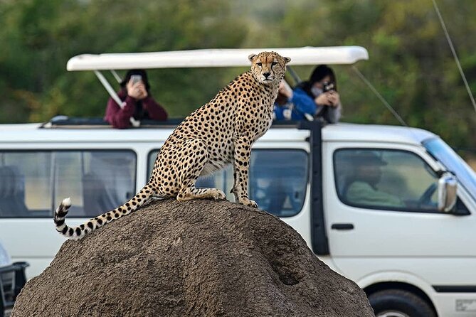 3 Days 2 Nights Maasai Mara Group Safari by 4WD From Nairobi - Should you book the three-day Maasai Mara trip?