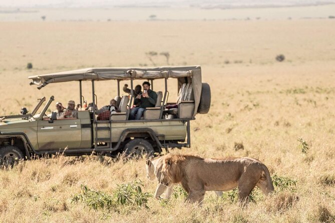 3 Days 2 Nights Maasai Mara National Reserve Joining Safari - The real value is time inside Maasai Mara
