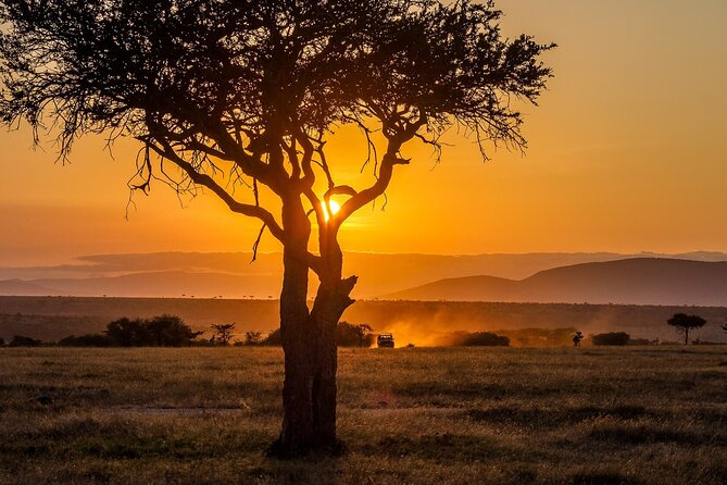 3 Days 2 Nights Maasai Mara National Reserve Joining Safari - Who will enjoy this safari most