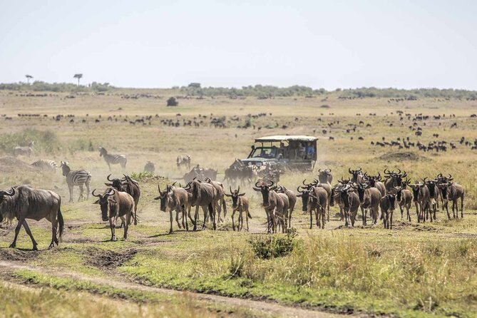 3 Days 2 Nights Maasai Mara National Reserve Joining Safari - Day one: Nairobi, the Rift Valley, and a first game drive