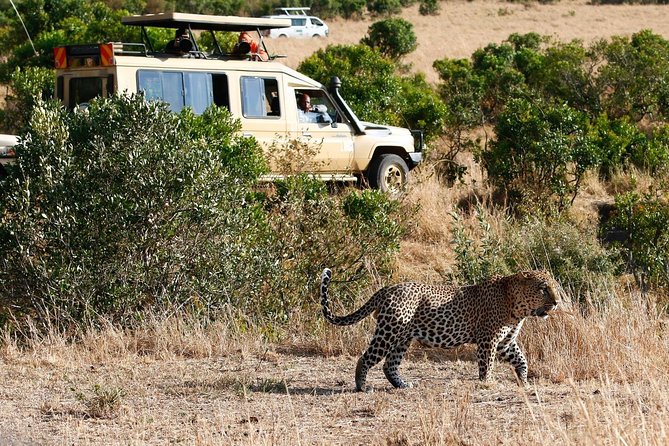 3 Days 2 Nights Masai Mara Joining Safari From Nairobi - Who will get the most from this safari
