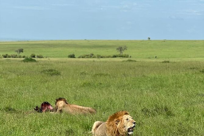 3 Days 2 Nights Masai Mara Road Transport Safari - From Nairobi City Market to the Great Rift Valley