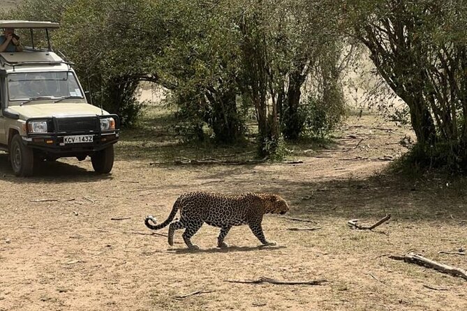 3 Days 2 Nights Masai Mara Road Transport Safari - Should you book the 3-day Masai Mara road safari?