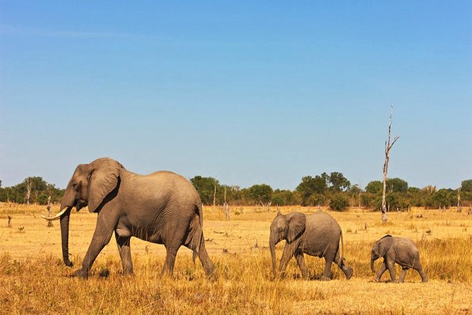 3 Days, 2 Nights Safari - Amboseli National Park and Tsavo West Adventure Safari - A Maasai village visit with an active cultural stop