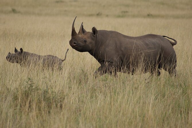 3 Days, 2 Nights Safari - Luxury Maasai Mara from Kisumu/Nairobi - Day three: a cultural morning before the return drive