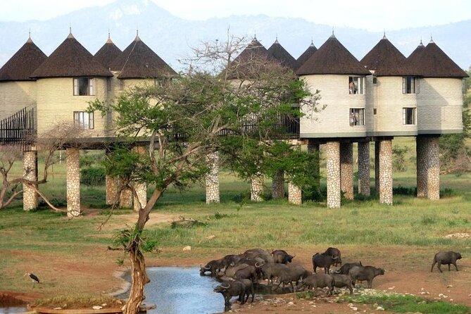3 Days 2 Nights Safari to Saltlick Lodge from Nairobi - Why Saltlick Lodge makes this short safari special