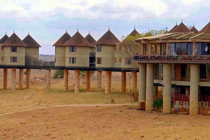 3 Days 2 Nights Safari to Saltlick Lodge from Nairobi - Day two: the best chance for extended wildlife viewing