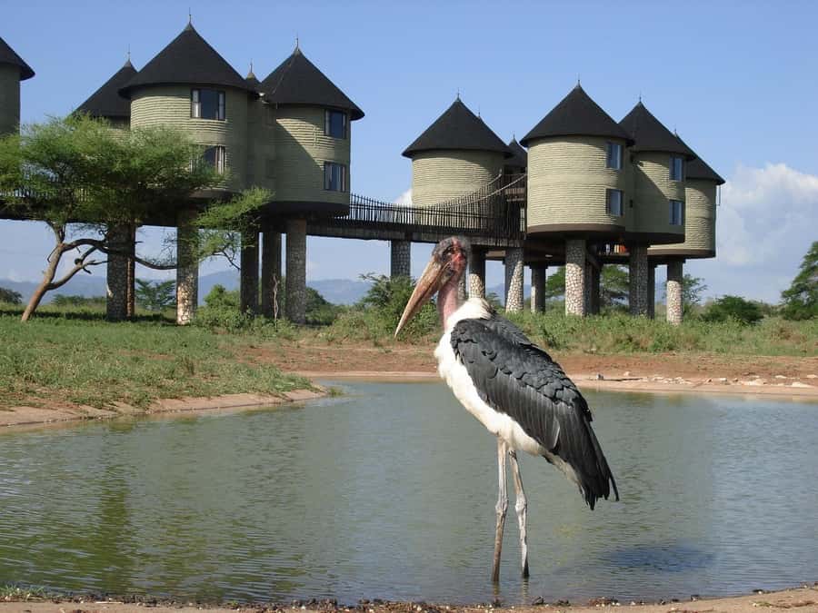 3 days 2 nights saltlick safari from diani/mombasa - Day 1: The road from Diani or Mombasa to Taita Hills