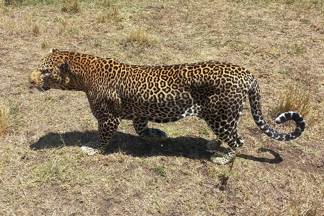 3 Days Adventure Tour in Masai Mara - The 6:30 a.m. Start from Central Nairobi