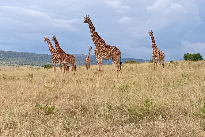3 Days Adventure Tour in Masai Mara - The 6:30 a.m. Sunrise Safari