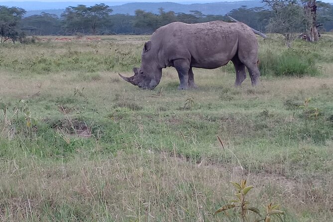 3 Days Adventure Tour in Masai Mara - What the $990 Price Covers