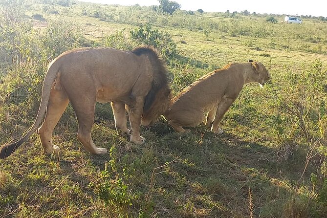 3 Days Adventure Tour in Masai Mara - Great Rift Valley Views Before the Mara
