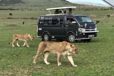 3 Days adventurous Maasai Mara Budget Group Safari
