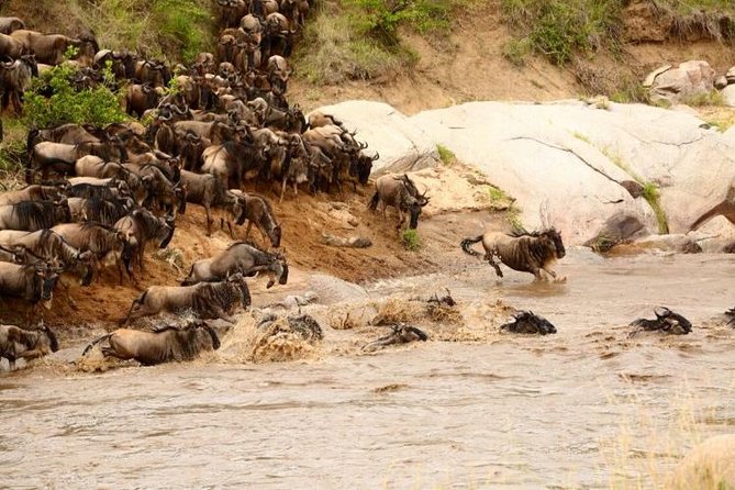 3 Days adventurous Maasai Mara Budget Group Safari - How the shared format affects the experience