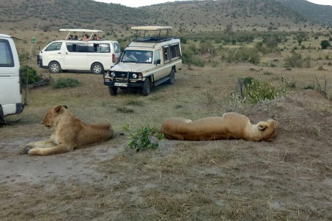 3 Days adventurous Maasai Mara Budget Group Safari - What is included, and what is not