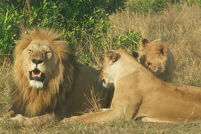 3 Days adventurous Maasai Mara Budget Group Safari - Who should book this safari