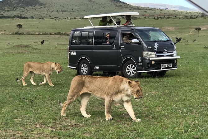 3 Days adventurous Maasai Mara Budget Group Safari - Two nights at Miti Mingi Eco Camp
