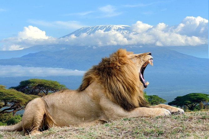 3 days Amboseli, Land of Kilimanjaro - Key points to know before booking