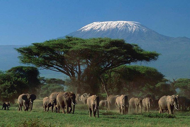 3 days Amboseli, Land of Kilimanjaro - The road from Nairobi to Amboseli
