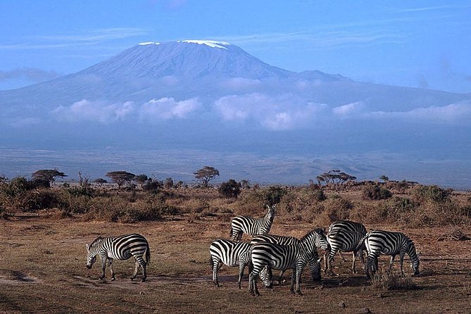 3 days Amboseli, Land of Kilimanjaro - Day three: an early drive and a Maasai village visit