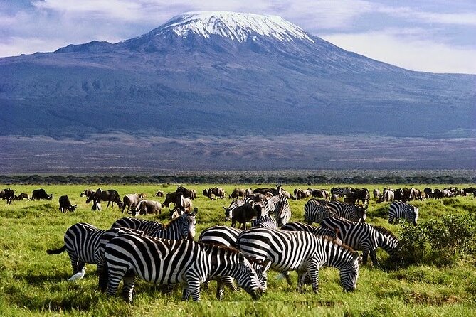 3 Days Amboseli National Park safari - Key points at a glance