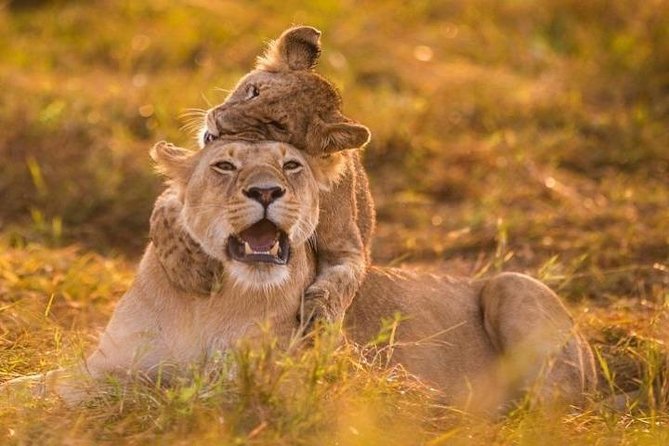 3 Days Amboseli National Park safari - What the $790 price really covers