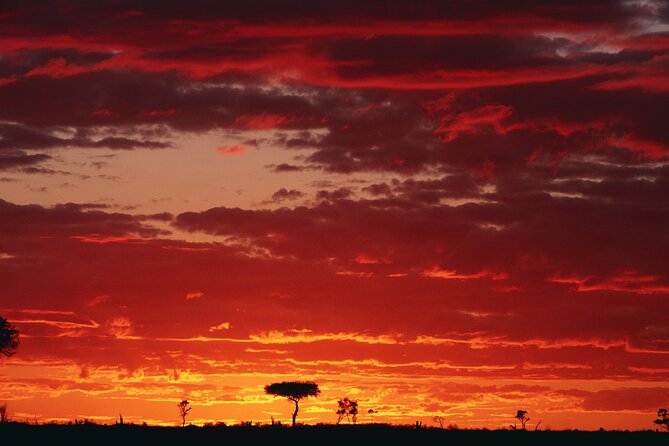 3 Days and 2 Nights Adventure in Masai Mara - Day 1: From Nairobi to the Great Rift Valley