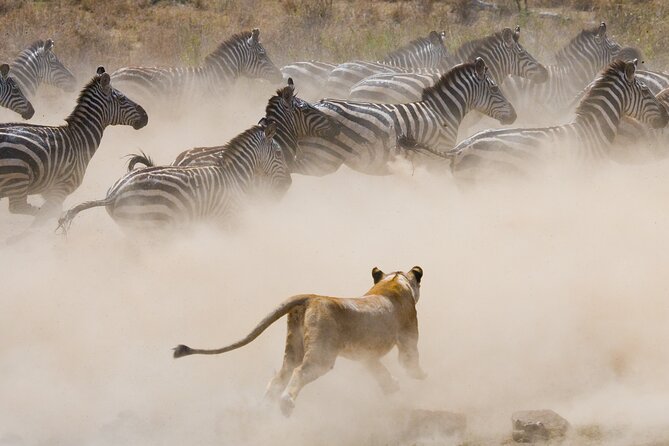 3 Days and 2 Nights Adventure in Masai Mara - Is $1,280 per person good value?