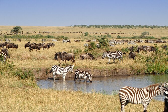 3 Days and 2 Nights Adventure in Masai Mara - Food, special diets, and practical comfort