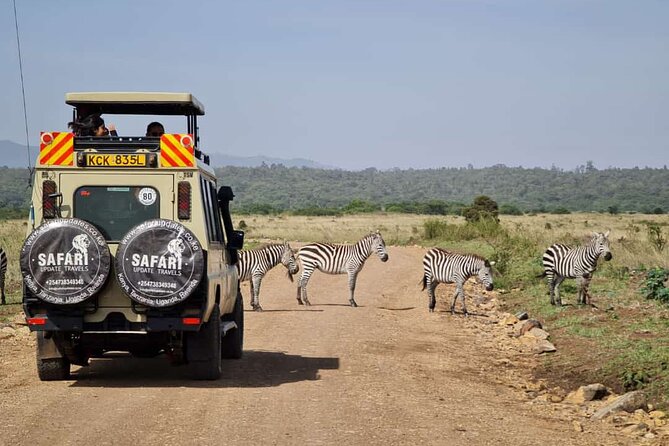 3 Days Best of MasaiMara Wildlife Private Safari, Mid-Range offer - The first afternoon game drive