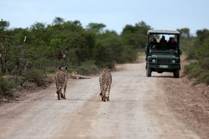 3 Days Budget Masai Mara Safari - Returning to Nairobi on day three