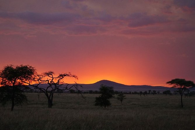 3 Days Budget Masai Mara Safari - A full day among the Mara’s famous animals