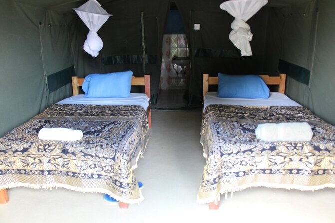 3 days group joining safari to Masai Mara with a Land CruiserJeep - Day two, the safari day that matters most